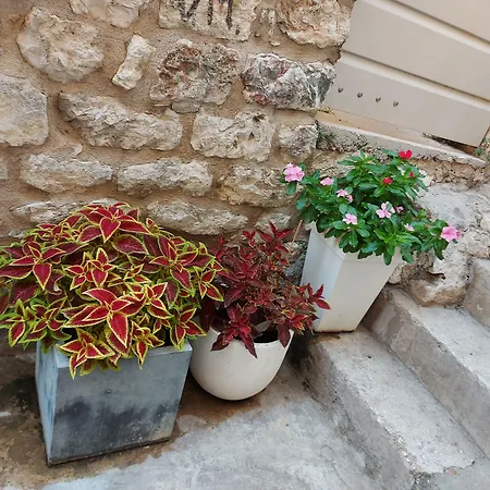 Appartement Nona 1